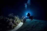 Buceo Nocturno