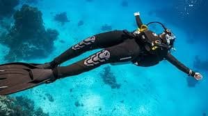 Curso Divemaster