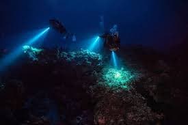  Inmersión nocturna en cala Sant jordi
