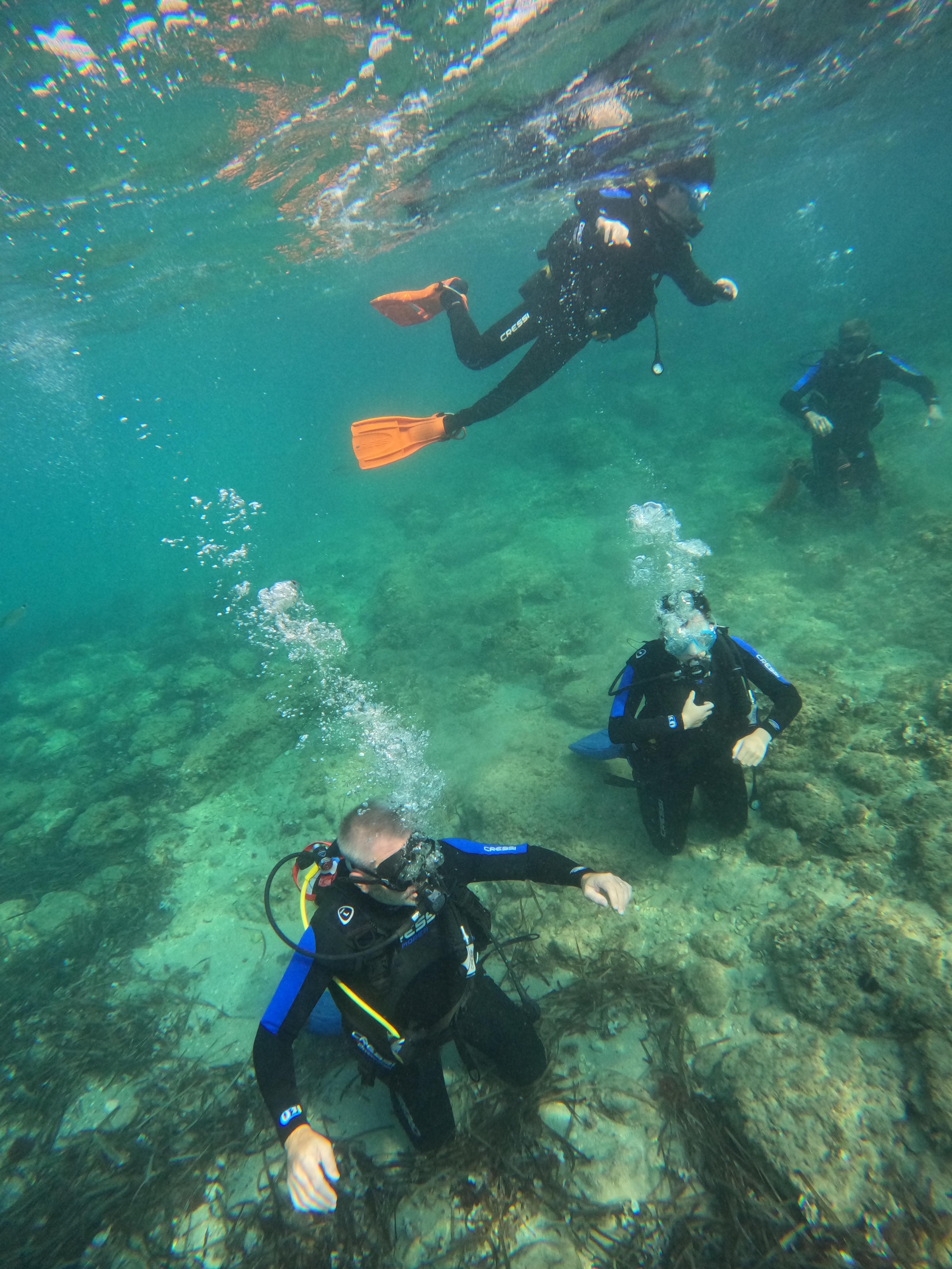 Curso Open Water Diver