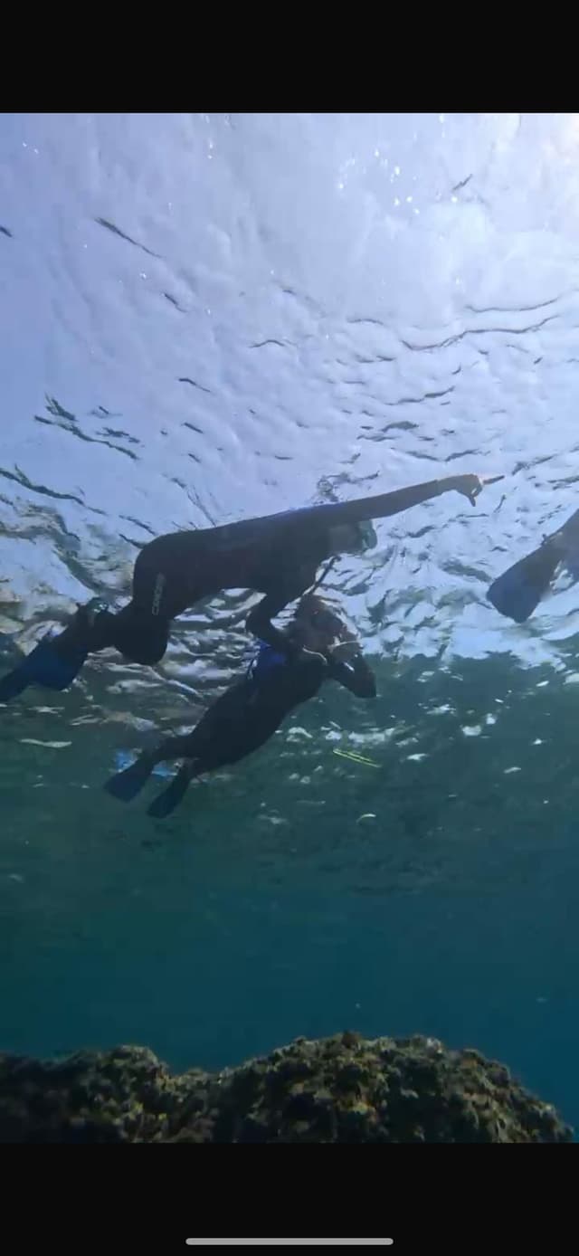 Snorkel en la Costa Dorada