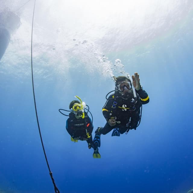 Asistente de instructor